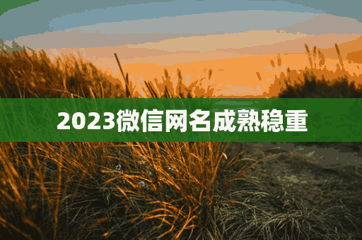 2023微信网名成熟稳重(2028微信网名)